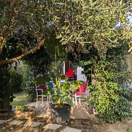 فيلا La Maison Sous L'Olivier Morieres-les-Avignon المظهر الخارجي الصورة