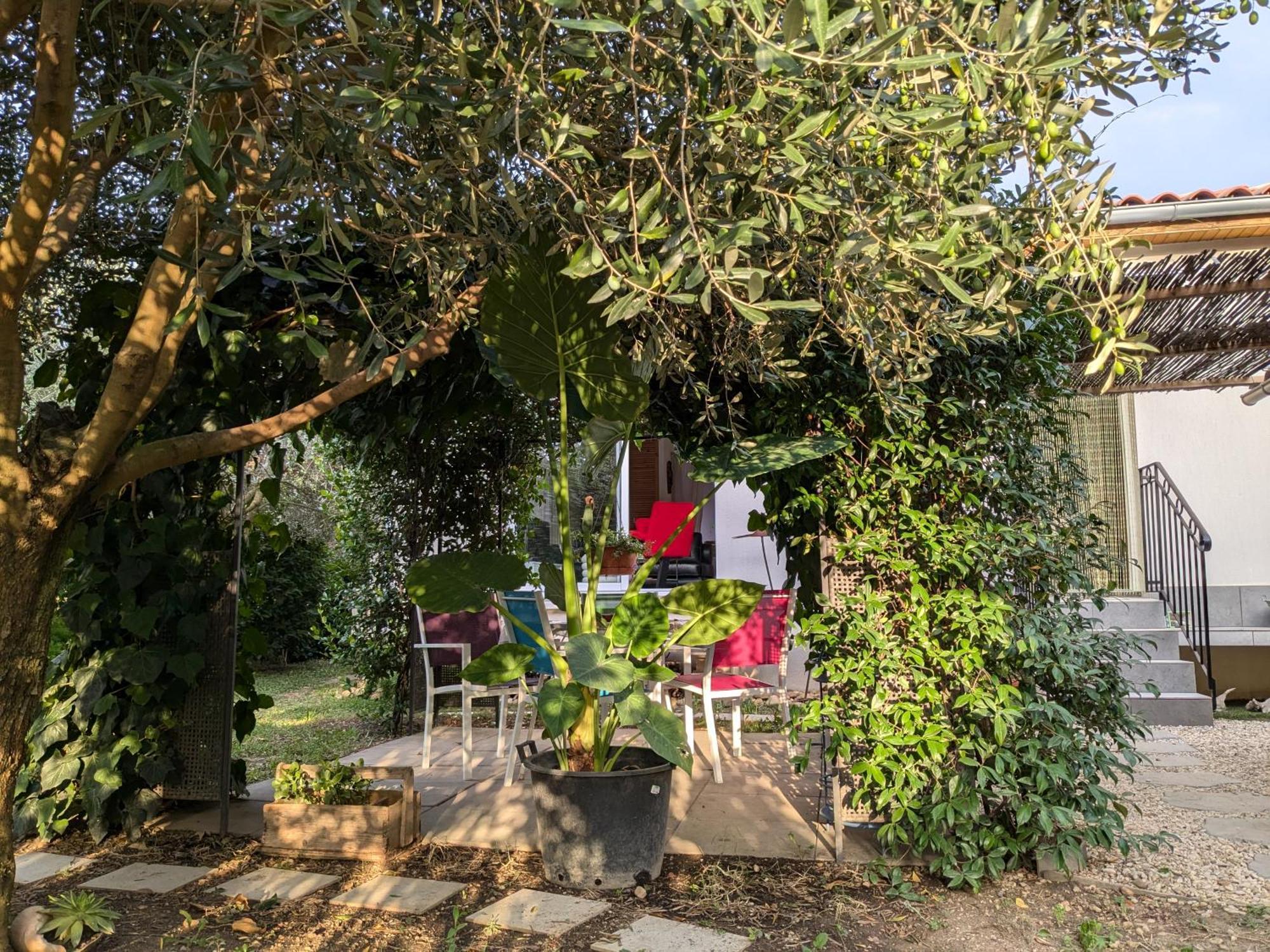 فيلا La Maison Sous L'Olivier Morieres-les-Avignon المظهر الخارجي الصورة